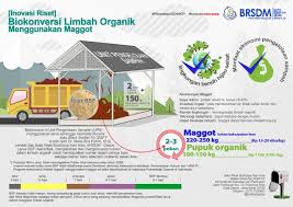 Marak nya budidaya belatung di indonesia tidak terlepas dari permintaan pasar terhadap belatung itu sendiri. Omah Maggot Bsf Ngawi Posts Facebook