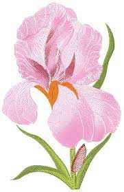 Iris Flower Free Embroidery Flowers Free Machine Embroidery Designs Ma Flower Machine Embroidery Designs Machine Embroidery Free Machine Embroidery Designs