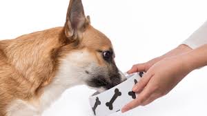 You can't buy mars inc stock because they are not listed on the stock exchange. World Pet Food Market 2019 Sales And Key Stakeholders Mars Petcare Nestle Purina Hill S Pet Nutrition Colgate Palmolive Procter Gamble Honest Version Dogblogger Net