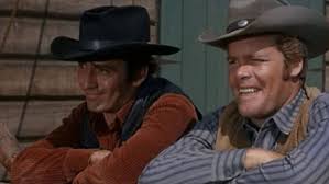 Image result for the virginian