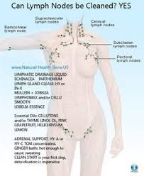 Use Very Carefully If You Have Metastatic Cancers This May Release Cancers That Are Hiding Always Check With Your Doc Lymphatic Healthy Detox Cleanse Health