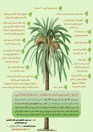 pin on لطائف وفوائد قرانيه