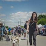 Spring Arts in the Park - Blue Ridge