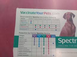 8603 base line rd, rancho cucamonga, ca 91730, usa. Rancho Feed Pet 8603 Base Line Rd Rancho Cucamonga Ca 91730 Usa
