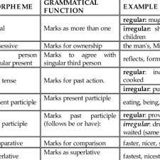 A stem is a morpheme which only occurs when attached to some other morpheme or morphemes such as a root or stem or base. Pdf A Contrastive Linguistic Analysis Of Inflectional Bound Morphemes Of English Azerbaijani And Persian Languages A Comparative Study