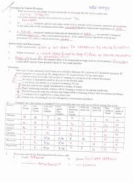 Cell Membrane Images Worksheet Answers Fresh 19 Best Of Printable Long Division With Remainders Chessm In 2020 Cell Transport Cell Membrane Transport Cells Worksheet