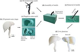 Sound knowledge of hepatic anatomy is a prerequisite for anatomical surgery of the liver. Soft Liver Phantom With A Hollow Biliary System Springerlink