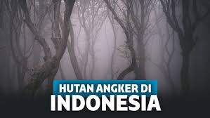 Written by cerita silat akan tetapi, para bajak laut itu agaknya menjadi jerih dan merekapun memutar perahu mereka dan setelah para bajak laut itu pergi, barulah ki san menghadapi gadis itu. 7 Kerajaan Gaib Yang Sangat Dipercaya Masih Ada Di Indonesia Keepo Me News On Rcti