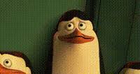 A reaction gif is a physical or emotional response that is captured into an animated gif. Yarn Dave Penguins Of Madagascar 2014 Video Clips By Quotes 4cdd7028 ç´—