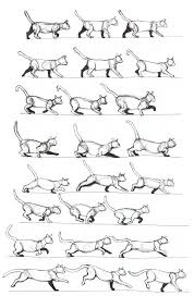 Drawing Study Of A Cat Moving Cat Anatomy Animal Drawings Character Design References
