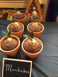 Pin By Maxeen Veldman On Harry Potter Harry Potter Food Harry Potter Snacks Harry Potter Birthday Party