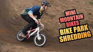 The babboe mini mountain has a compact box which makes the cargo bike shorter than a. Mini Mountain Bikes Bike Park Shredding Youtube