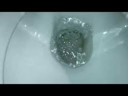 Urinstein In Der Toilette Entfernen Mit Essig Und Backpulver Anleitung Youtube Edelstahl Reinigen Toiletten Reinigen Reinigen