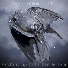 Working Up To Full Reflection