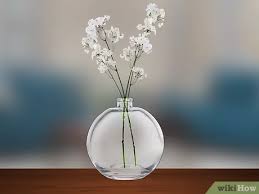 Rapportez un flacon de parfum vide et soyez récompensé ! 4 Manieres De Recycler Les Flacons De Parfum Wikihow