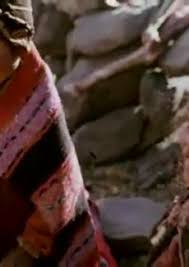 Even Asteroids Are Not Alone Alexander Street A Proquest Company