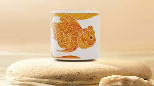 Image result for Handic 004