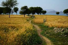 Ticketsinventory.com is your source for all fowlerville premium sports, concerts and theater events in fowlerville. Udaipur S Gati Gaum Becomes Rajasthan S First Internationally Certified Organic Village Vikalp Sangam