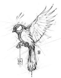 Https Www Artstation Com Artwork J0egd Bird Drawings Animal Sketches Bird Sketch