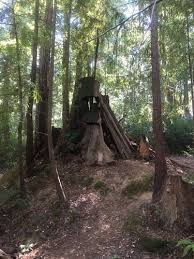 Hendy Woods State Park Kalifornien Beliebte Routen Alltrails