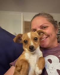 Foster home needed for 5lb puppy