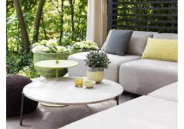 Live oak branch, mahogany, glass. Branch Tribu Coffee Table Milia Shop