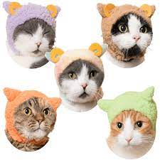 Sheep Kitties Relaxed Colors Cute Cats Cute Animals Kitty