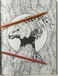 Harry+potter+drawings | hippogriff, harry potter drawing. Harry Potter Magical Creatures Chronically Batgirl Colours