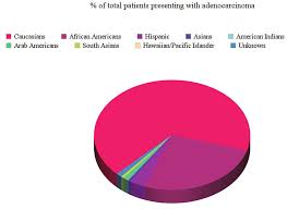 Pie Chart Showing Different Ethnicities Presenting With