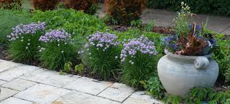 After harvesting, keep the flowers in the fridge until ready to use (they should last a few days), then wash gently. Mixing It Up Can Edibles And Ornamentals Get Along In A Designed Garden Ecological Landscape Alliance