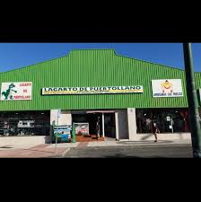 el lagarto de puertollano