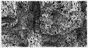 Articulate Journal Articulate Public Relations