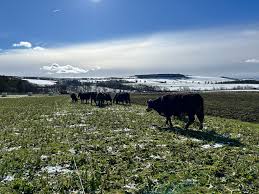 Ben McClymont (@Ben_McClymont)