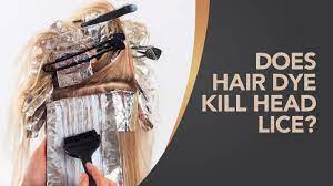 Lice only need to be on a human head to feed and lay their eggs. Does Hair Dye Kill Head Lice Hair Day