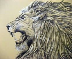 Home Art Roaring Lion Tattoo Lion Art Lion Sketch