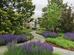 A garden, usually open to the public, where a wide range of plants are grown for scientific and…. Sustainability At The U S Botanic Garden United States Botanic Garden