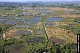 Des Etangs Dans Le Secteur De Merlimont Tourisme Etang Calais