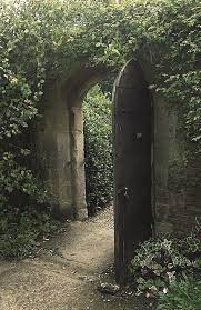 What Is Kava Kava Tea Secret Garden Garden Doors Dream Garden