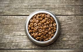 Croquettes pour chiens seniors (7 ans et +) ayant besoin de moins de calories (moins actifs, prédisposés à l'obésité, castrés). Comment Choisir Les Croquettes Pour Son Chien Bulle Bleue