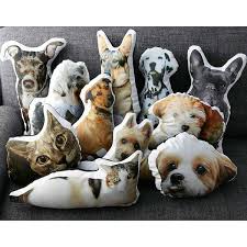 We did not find results for: Custom Pet Pillow Australia Online