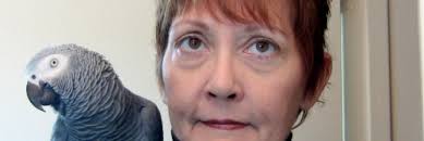 Can You Pass the “Parrot Household Interview?”