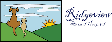 Killian takes a very personal approach with each pet, really getting to know both your pet and you; Vet Near Me 68130 Ridgeview Animal Hospital West Omaha