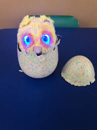 Hatchimals Mystery Reviews In Electronic Toys For Kids