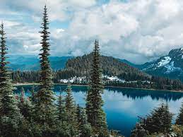 Lots of different hikes near mt. 13 Best Hikes In Seattle Conde Nast Traveler