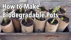 Create your own diy plant container to add to your home decor. How To Make Biodegradable Plant Pots Homemade Seed Starting Pots Youtube