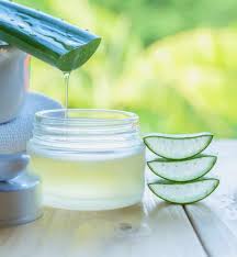 We did not find results for: Aloe Vera Gegen Pickel 7 Effektive Anwendungstipps