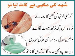 Pin On Health Is Wealth