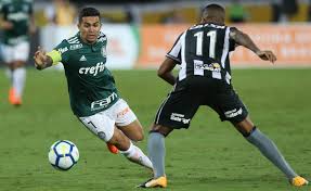 Fernando, carli, gabriel e gilson; Palmeiras X Botafogo Veja Quem Leva A Melhor No Retrospecto Do Duelo