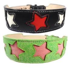 A Tapered Leather Dog Collar With Star Cutouts In Your Choice Your Leather Colors Leather Dog Collars Designer Dog Collars Dog Training Collar