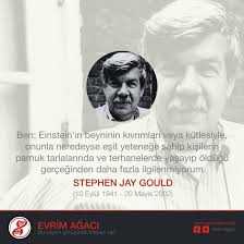 Stephen Jay Gould
